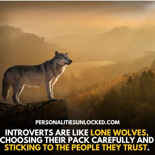 Introverts tend to be like lone wolves, choosing their pack carefully and sticking to the people they trust.